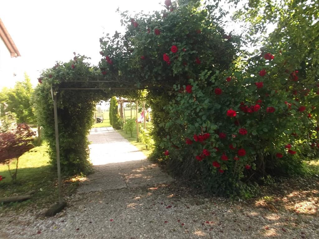 Agriturismo La Prateria Gazzo Kültér fotó