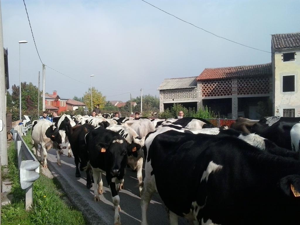 Agriturismo La Prateria Gazzo Kültér fotó